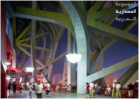 عش الطائر - استاد بكين الدولي - لقطة داخلية ليلية