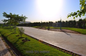 6236726083_c46039e7ff_z